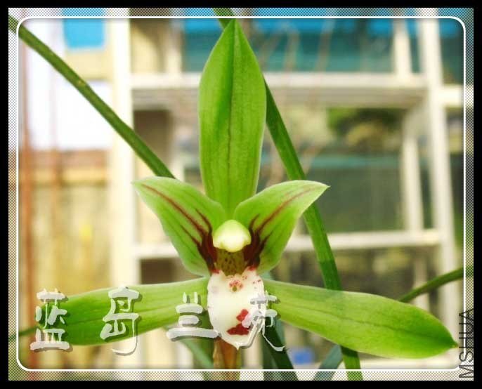 ���ݴ��� ����Ϸ��1.jpg