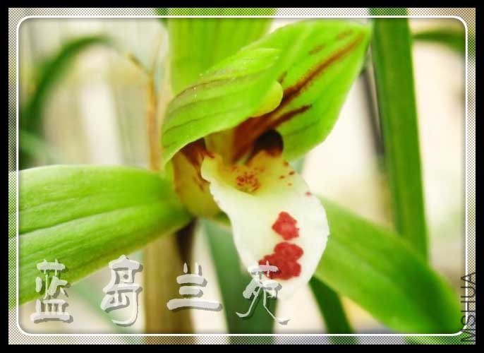 ���ݴ��� ����.jpg