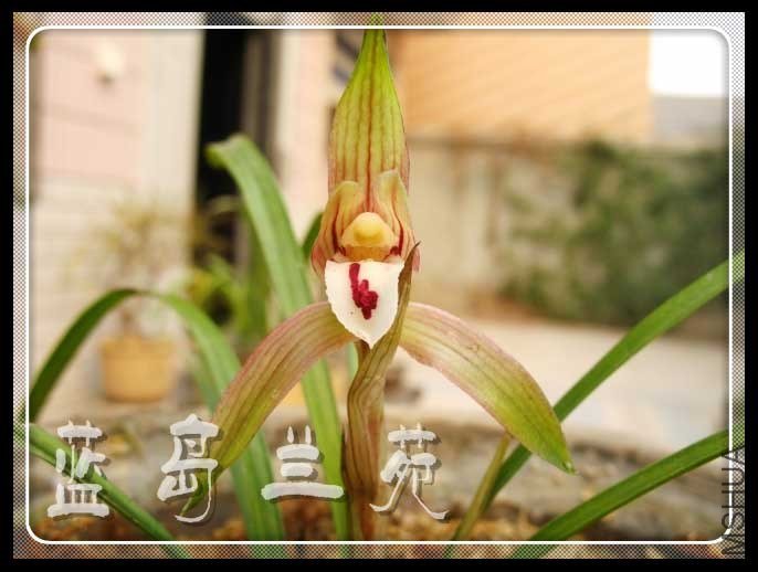 ���ݴ��� ��ɽ.jpg