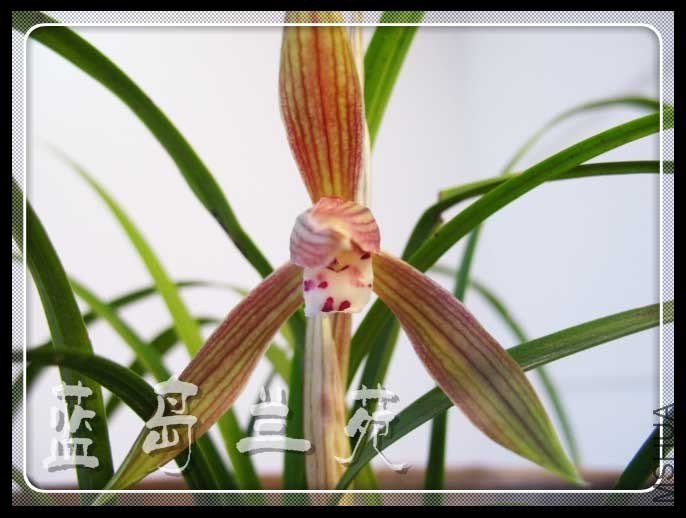 ���ݴ��� �컨.jpg