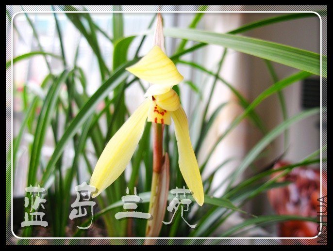 ���ݴ��� �ƻ�.jpg