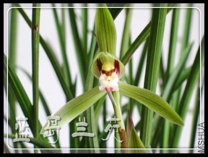 ���ݴ��� ��.jpg