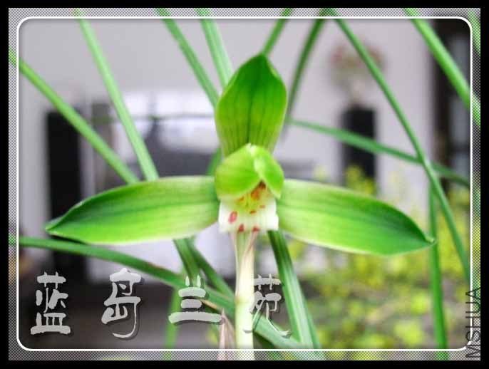 ���ݴ��� ƽ��.jpg