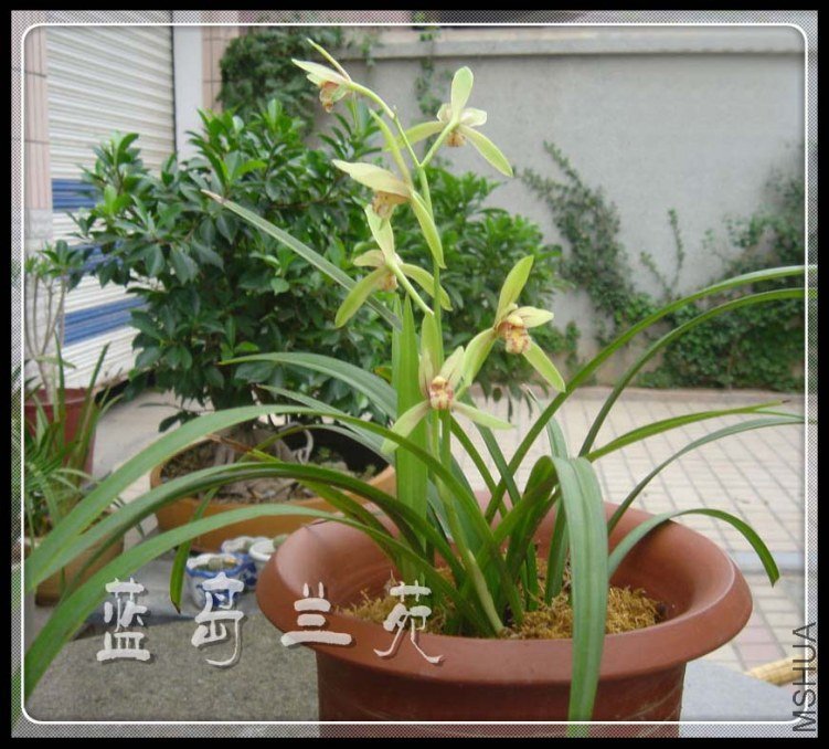 ���� �ٻ��ļ�.jpg