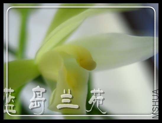 ���� ������1.jpg