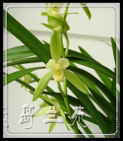 ���� ������.jpg