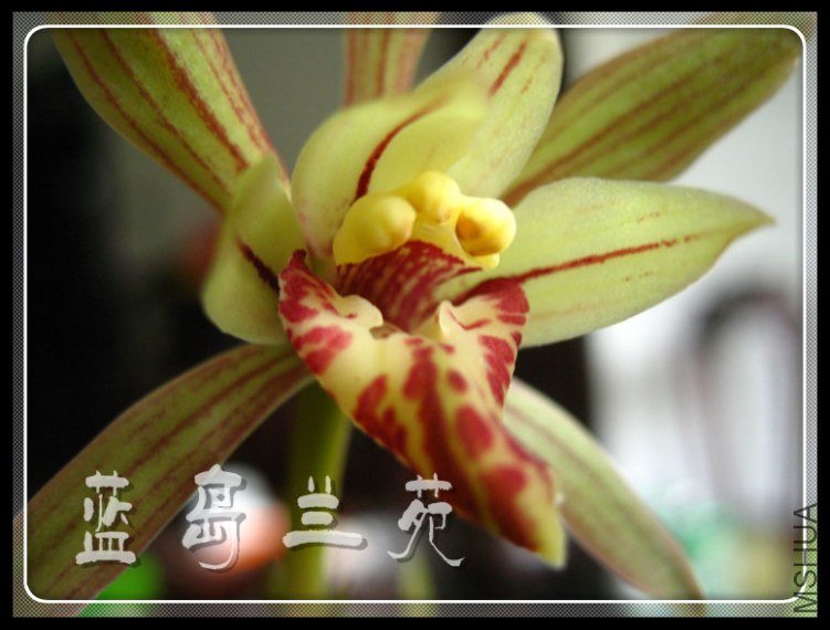 ���� �滨�ļ�.jpg