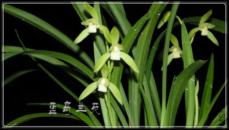 ���� ��Ϫ��.jpg