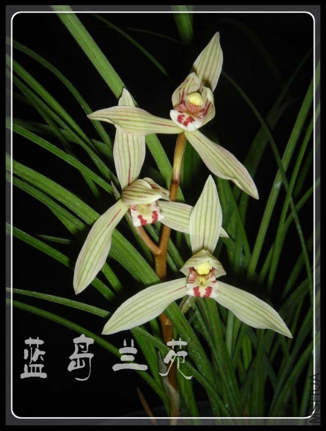 ������ �۲���.jpg