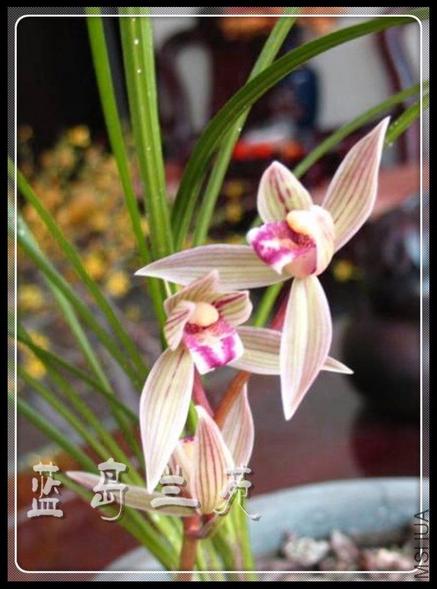 ������ ����.jpg