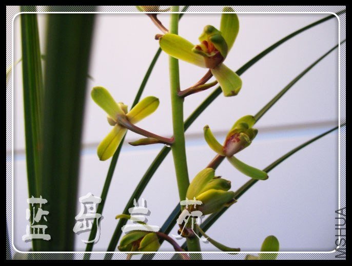 ���� ��Ⱦ��.jpg