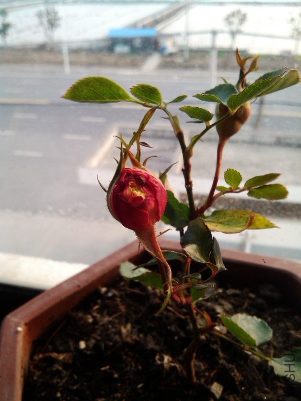 Ϊʲô��ô��