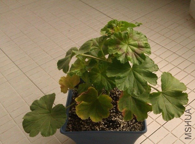 IMAG0759.jpg