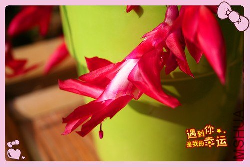 ��Ƭ 028_����.jpg