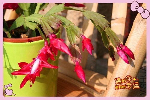 ��Ƭ 025_����.jpg