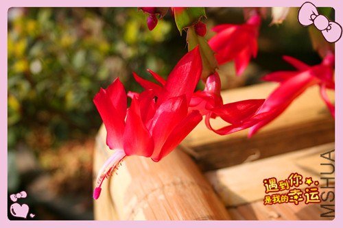 ��Ƭ 027_����.jpg