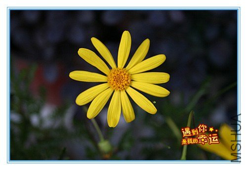 ��Ƭ 018_����.jpg