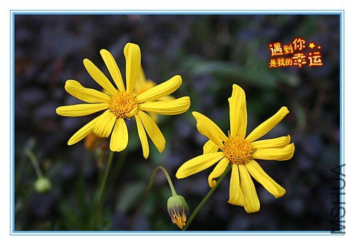 ��Ƭ 016_����.jpg