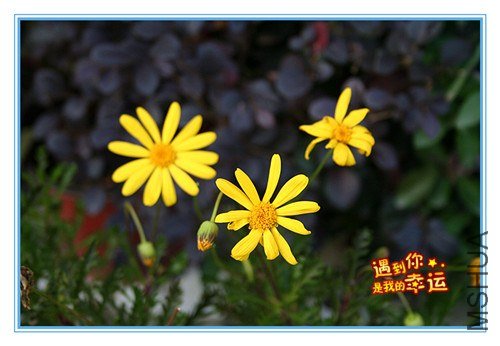 ��Ƭ 017_����.jpg