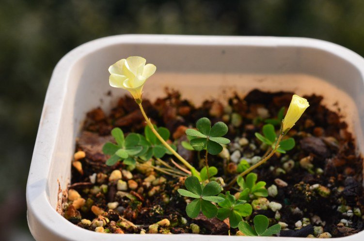 �׻�����20121208 009.JPG