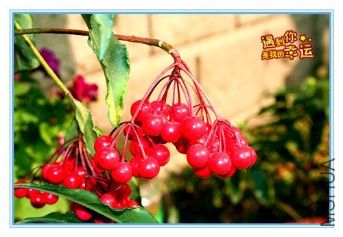 ��Ƭ 035_����.jpg