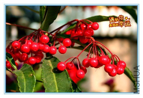 ��Ƭ 034_����.jpg