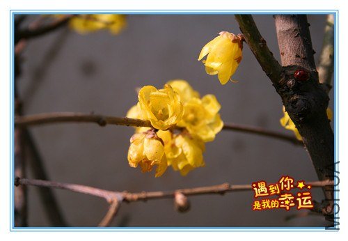 ��Ƭ 050_����.jpg