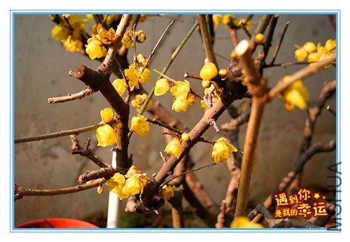 ��Ƭ 045_����.jpg