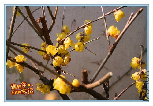 ��Ƭ 046_����.jpg