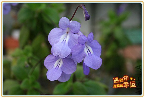 37��Ƭ 004_����.jpg