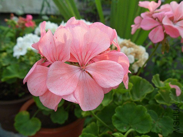 С��9.10 (1).jpg