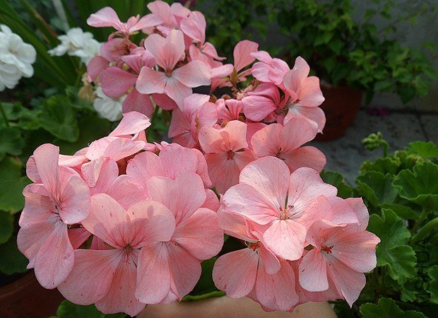 С��9.10 (2).jpg