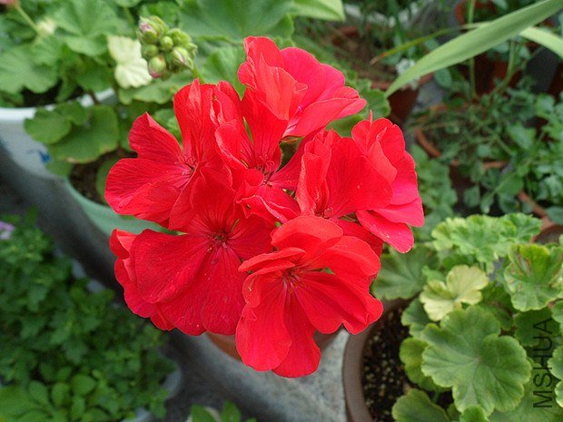 С��9.10 (4).jpg