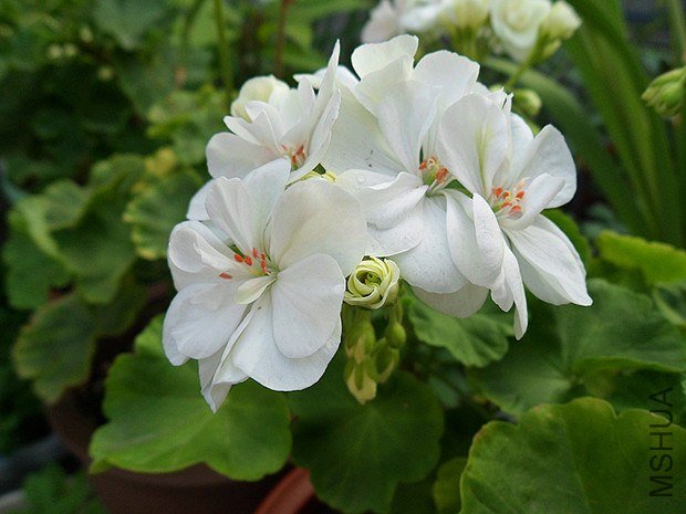 С��9.10 (6).jpg