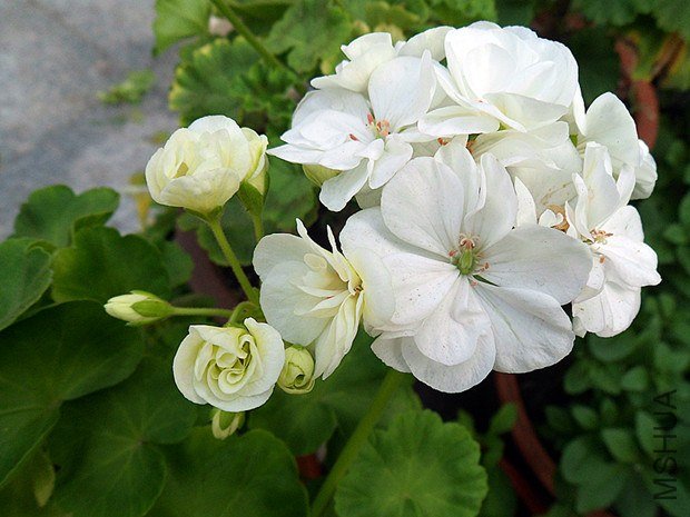 С��9.10 (7).jpg