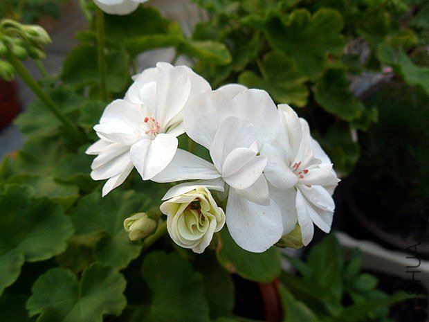 С��9.10 (9).jpg