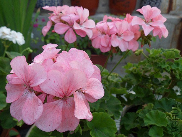 С��9.10 (10).jpg