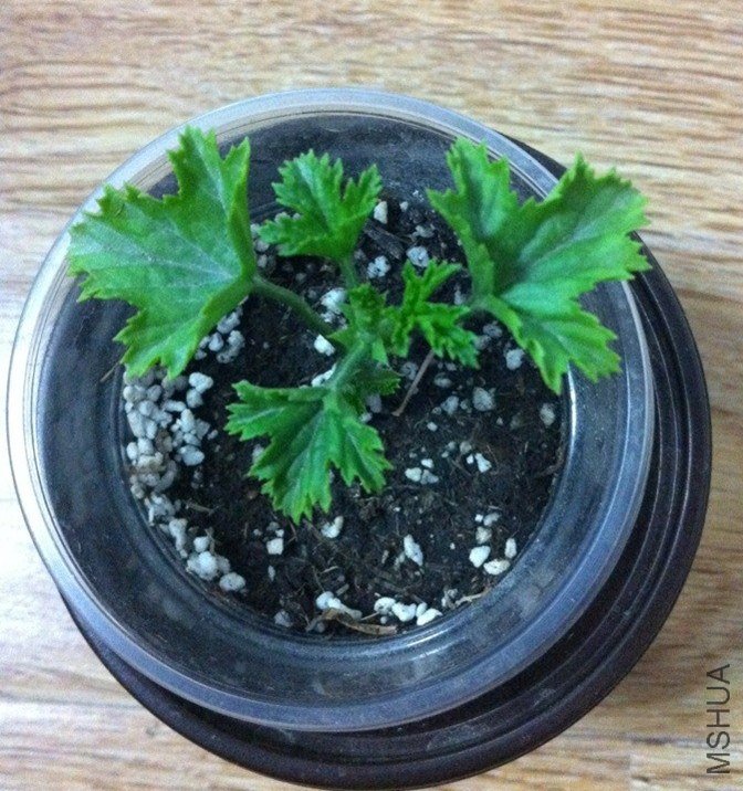5_����.jpg