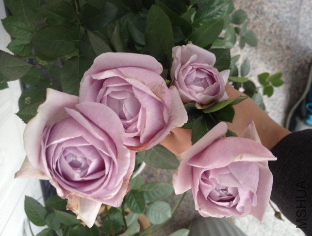 QQ��ͼ20121230201431.jpg