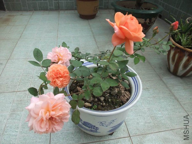 09.JPG