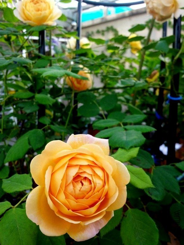 20120427_071015-0.jpg