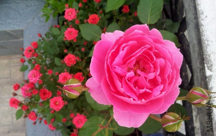 20120427_173911-0.jpg