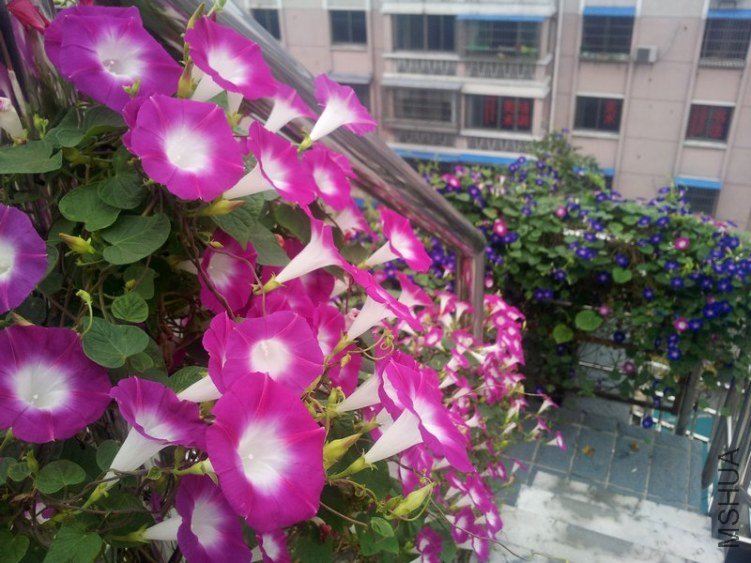 20120906_065114-0.jpg