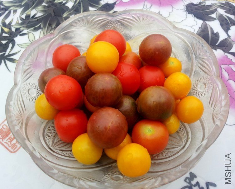 20120717_064211-0.jpg