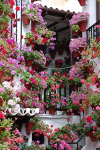 courtyard2_200x.jpg