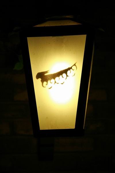 ʥ��ǰҹ�Ŀ�խ���� (12).JPG