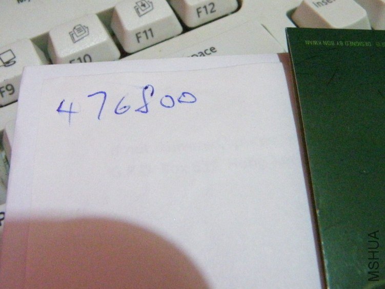 PC315170.JPG