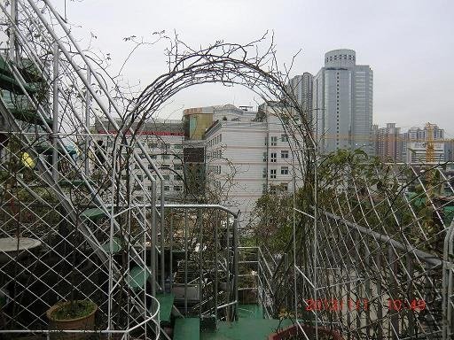 CIMG5676.JPG