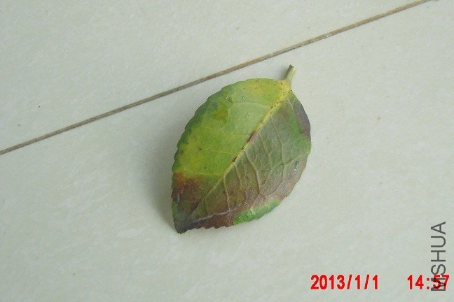 CIMG1562.JPG
