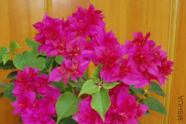 ��Ƭ 003_����.jpg